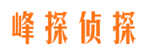 江城侦探公司